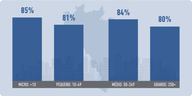 Grafico-5